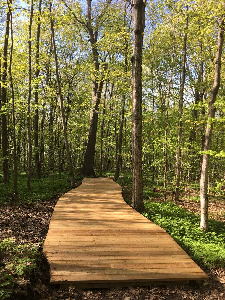 Image d'une passerelle en bois