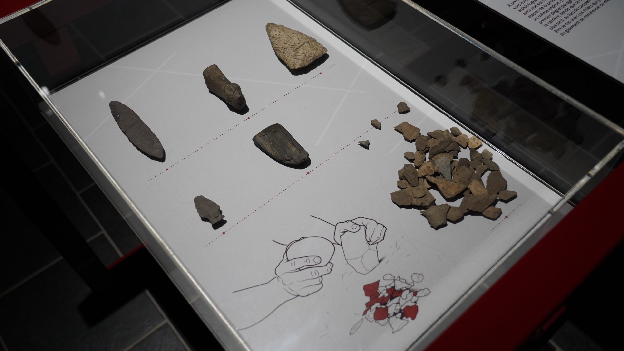 Image d'une vitrine avec des objets