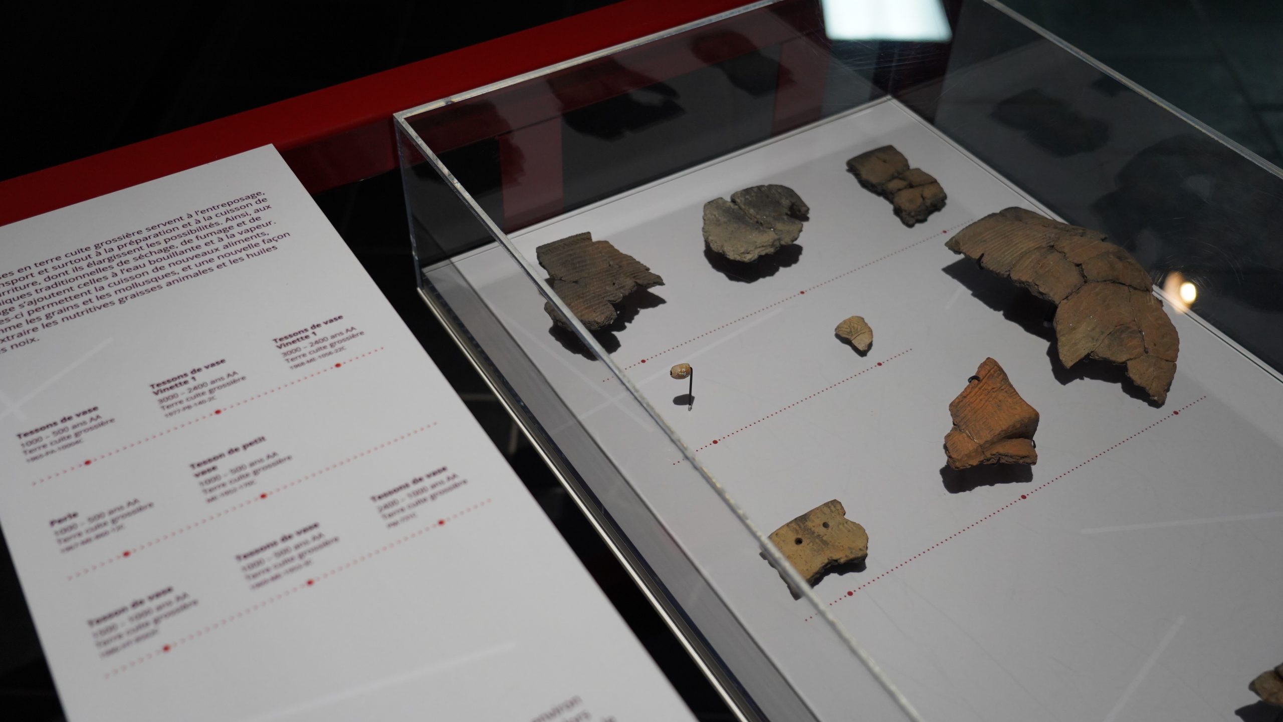 Une vitrine contenant des artéfacts de l'exposition Voix Nomade