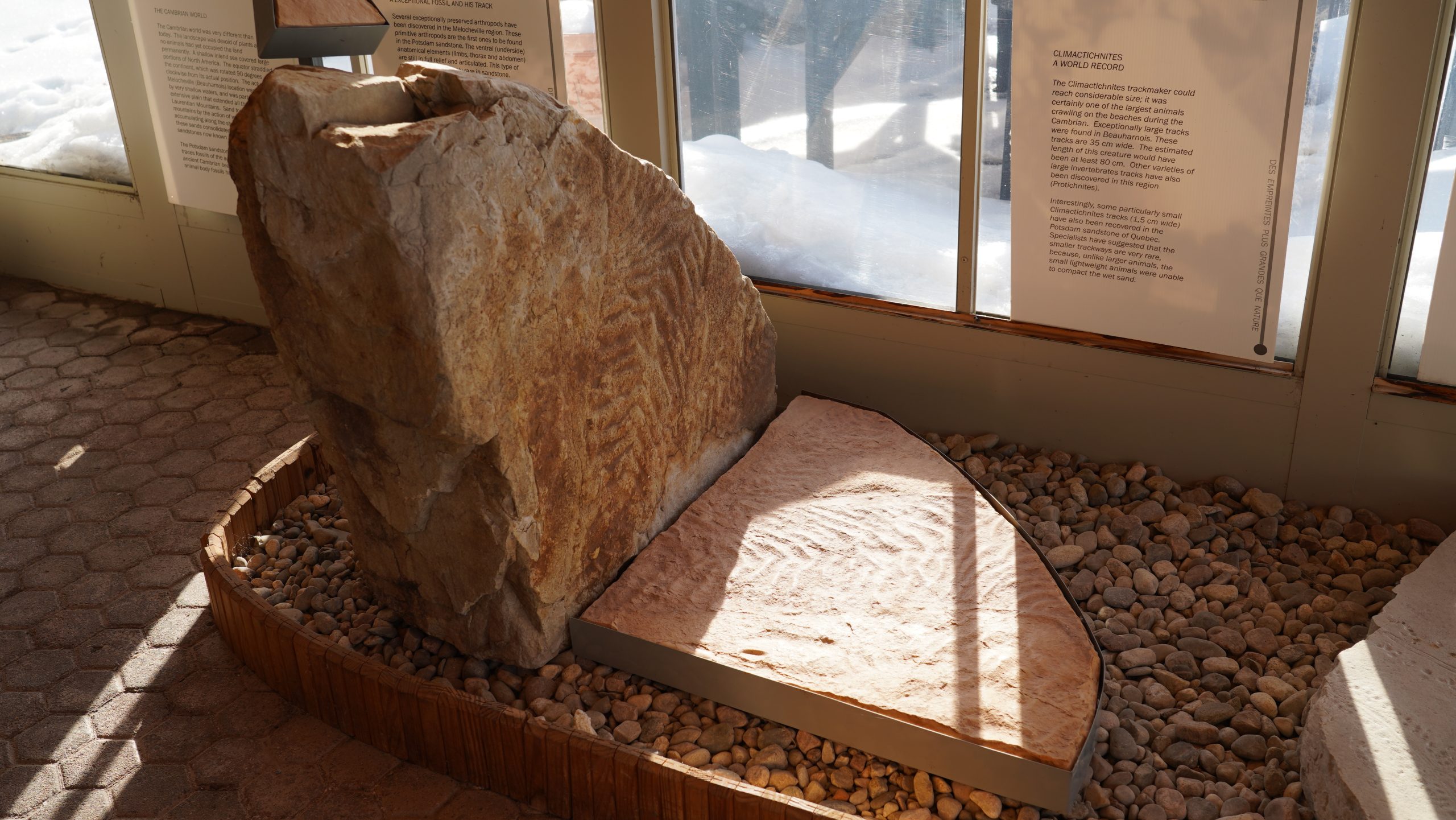 Roche à l'entrée du musée