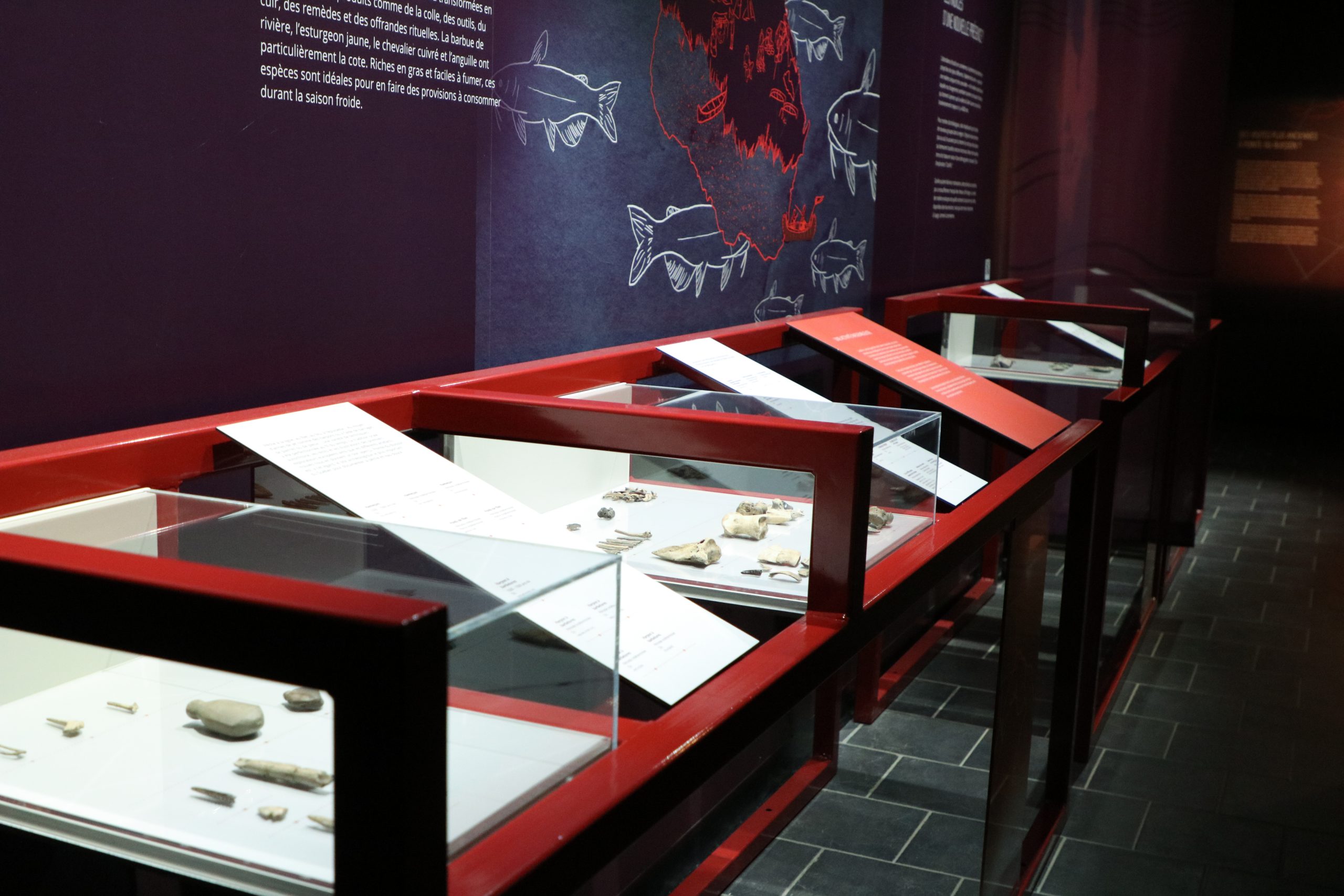 Image des vitrines de voix nomades